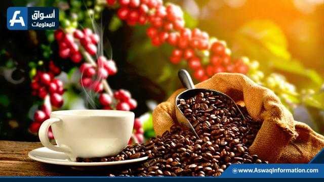 سعر قهوة أرابيكا يواصل التراجع في بورصة نيويورك