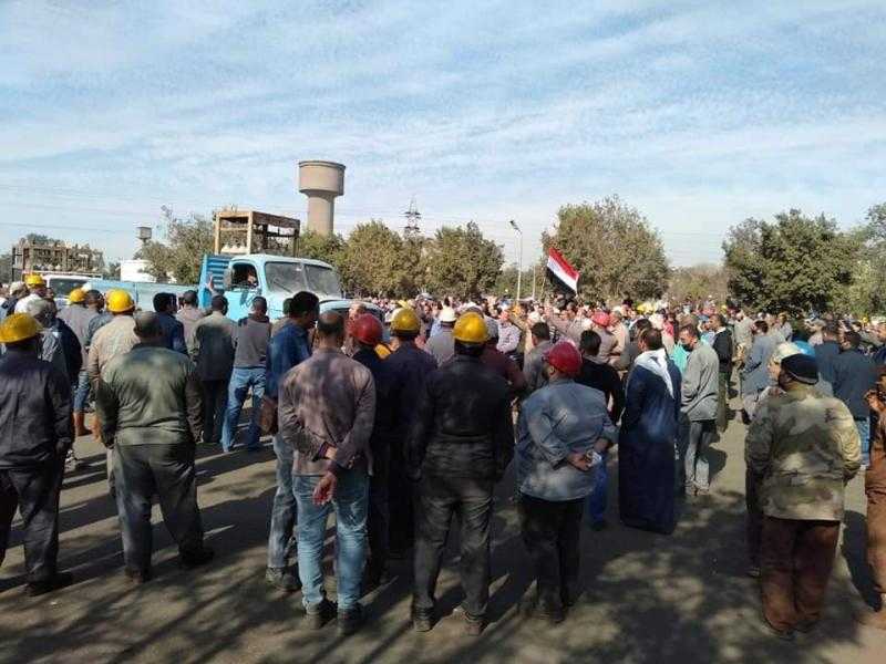 بعد تصفيتها.. بشرى سارة لعمال شركة «كوك» - فيديو