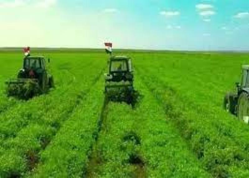  المشروع الزراعي بتوشكى