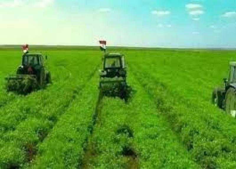 تفاصيل المشروع الزراعي لقطاع الأعمال بتوشكى