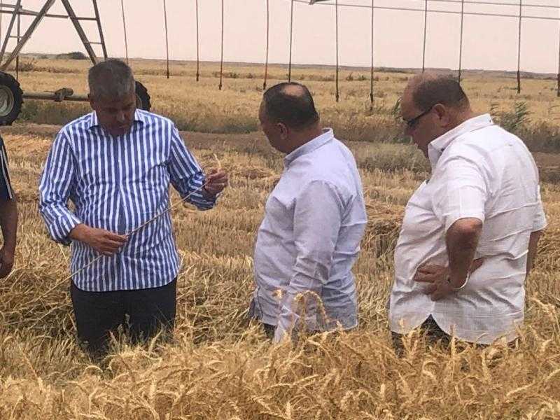 ضبط 37 طن قمح محظور تداوله في عدة محافظات