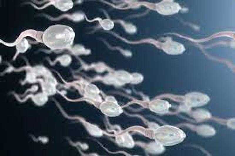 يجوز بشروط..تعرف على حكم تجميد الحيوانات المنوية للرجل.. فيديو