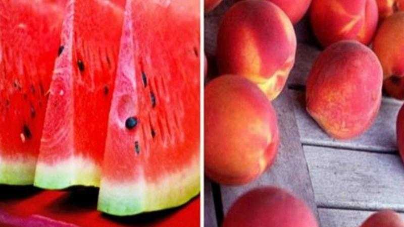 الزراعة: لا صحة للمتداول حول وجود أنواع من البطيخ والخوخ مسممة.. فيديو