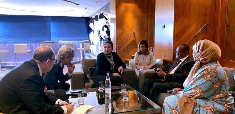 وزيرة التجارة تبحث مع نظيرها الجيبوتي تعزيز حركة التبادل التجاري