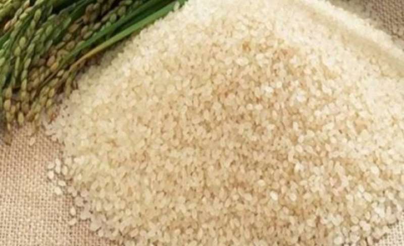 أسباب تراجع سعر  طن الأرز