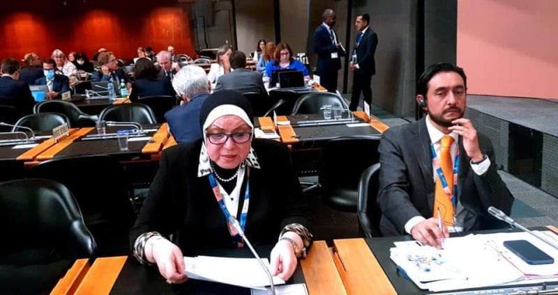 وزيرة الصناعة والتجارة نيفين جامع 