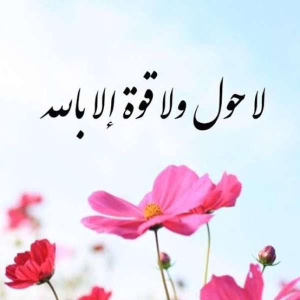الحوقلة