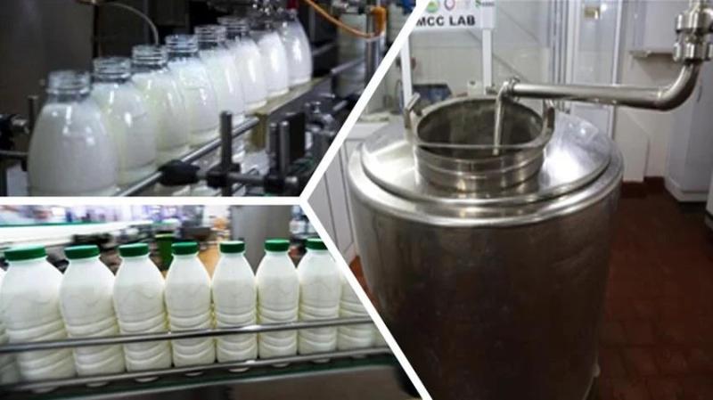 مشروع تطوير مراكز تجميع الألبان