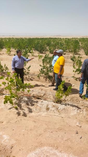 وقاية النباتات ينظم دورة تدريبية عن تربية ديدان الحرير بالوادى الجديد 