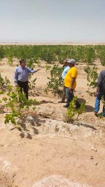 وقاية النباتات ينظم دورة تدريبية عن تربية ديدان الحرير بالوادى الجديد