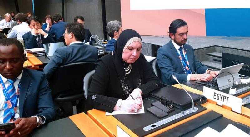 نيفين جامع: دور محوري للتجارة في الحد من التغيرات البيئية وتعزيز قدرات الدول على التحول الأخضر