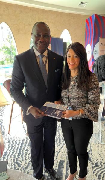 وزيرة التعاون الدولي تلتقي الرئيس التنفيذي لمؤسسة التمويل الأفريقية لبحث توطيد العلاقات المشتركة