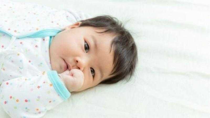 لم أرزق بأطفال فكتبت كل ما أملك لابن أخي فهل ما فعلته حرام؟ الإفتاء توضح «فيديو»