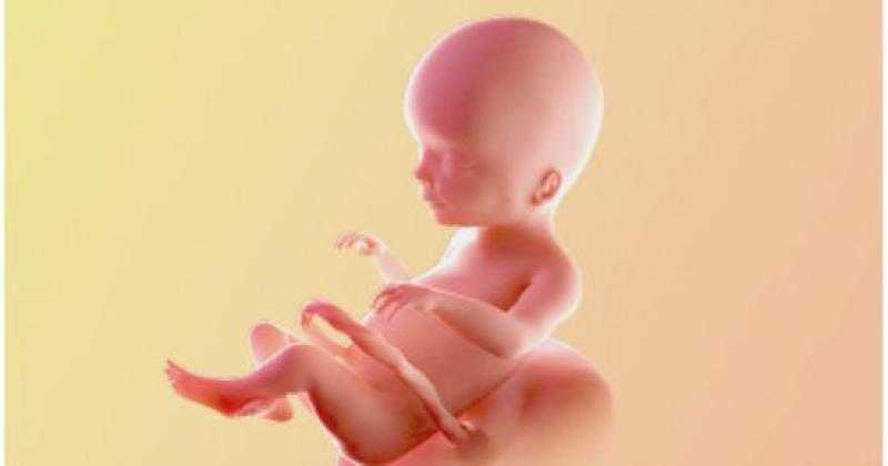 هل يجوز تحديد نوع الجنين؟ الإفتاء توضح «فيديو»