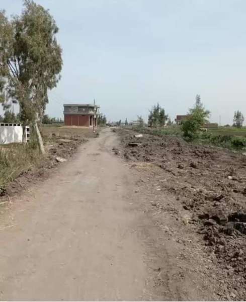 قرية حنورة