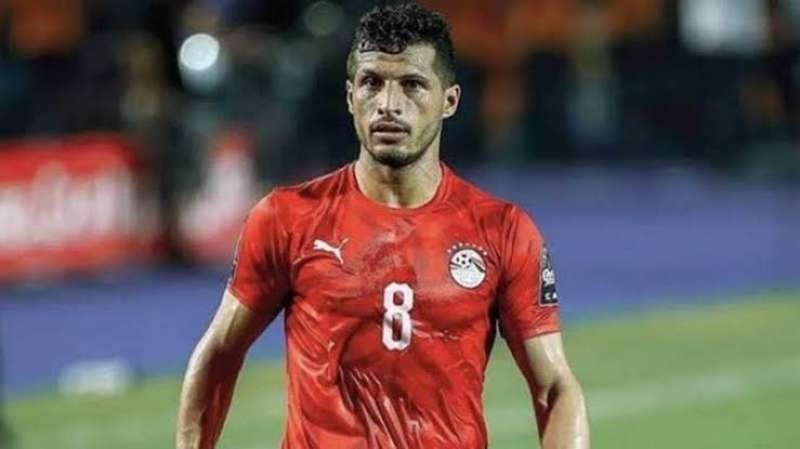 طارق حامد 