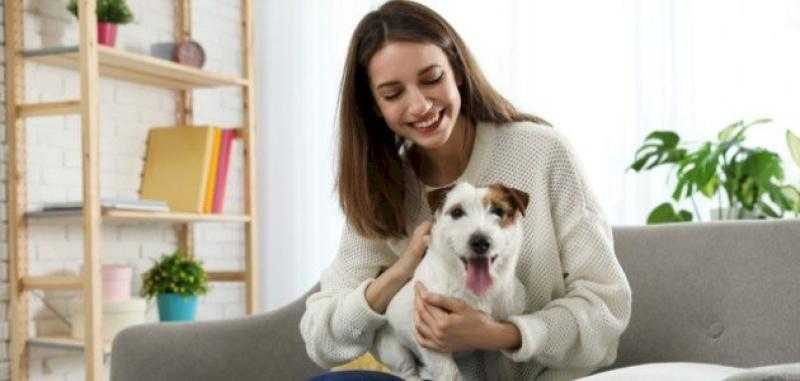 «الإفتاء»: لا يجوز تربية الكلاب بالمنزل في هذه الحالات - «فيديو»