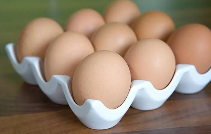 ارتفاع سعر البيض اليوم الخميس بالمزرعة.. «الكرتونة وصلت لكام»