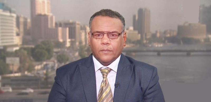 الخبير الاقتصادي أبو بكر الديب 