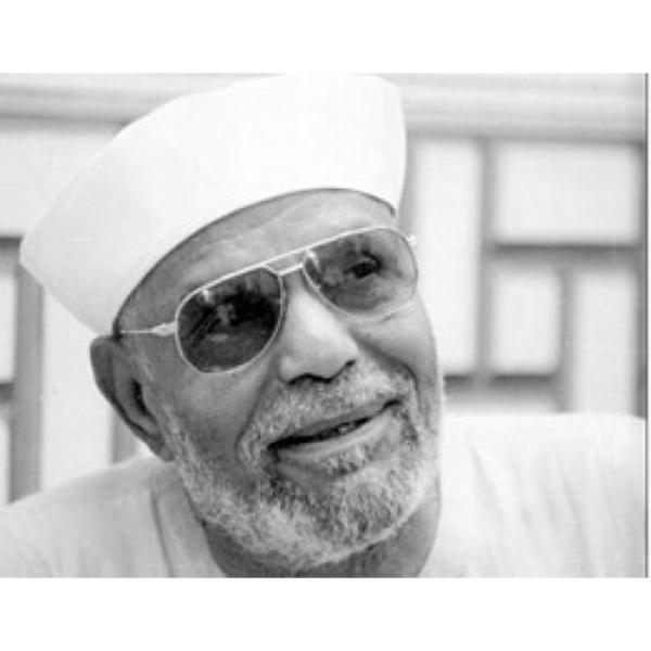 الشيخ الشعراوي