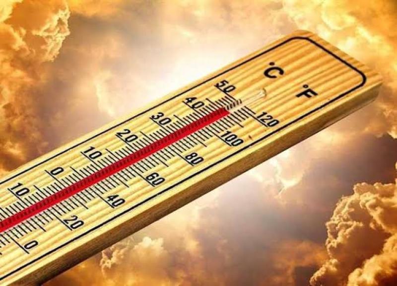 نقيب الزراعيين يحذر من ارتفاع درجات الحرارة: «سيفقد الإنسان مصادر الغذاء»