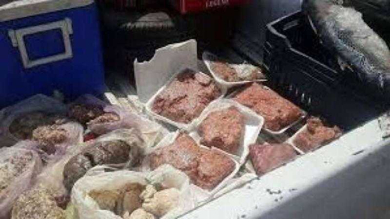 التحفظ على 24 ألف عبوة تونة فاسدة ومنتهية الصلاحية في الفيوم