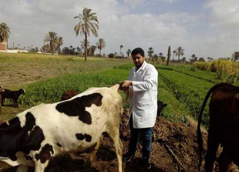 كيف تحمي الدولة الحيوانات من الحمى القلاعية؟.. الزراعة تُجيب
