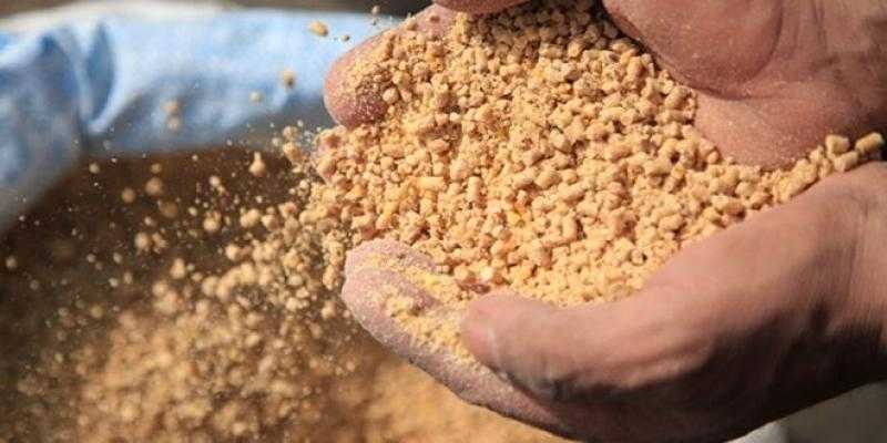 طن العلف ينخفض 100 جنيه.. وتراجع الدي دي جي والكسب 50 جنيه