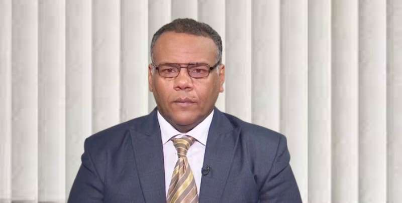 الخبير الاقتصادي أبو بكر الديب 