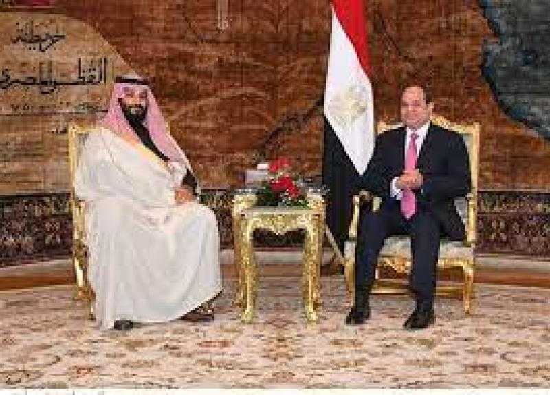 توقيع 14 اتفاقية مصرية سعودية بقيمة 8 مليارات دولار.. فيديو