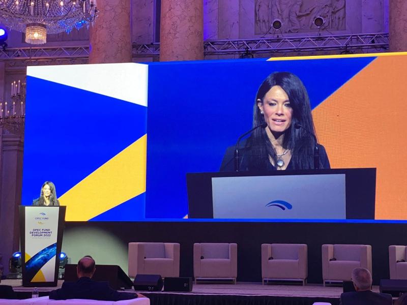 المشاط: منصة التعاون التنسيقي المشترك ساهمت في تكامل جهود شركاء التنمية