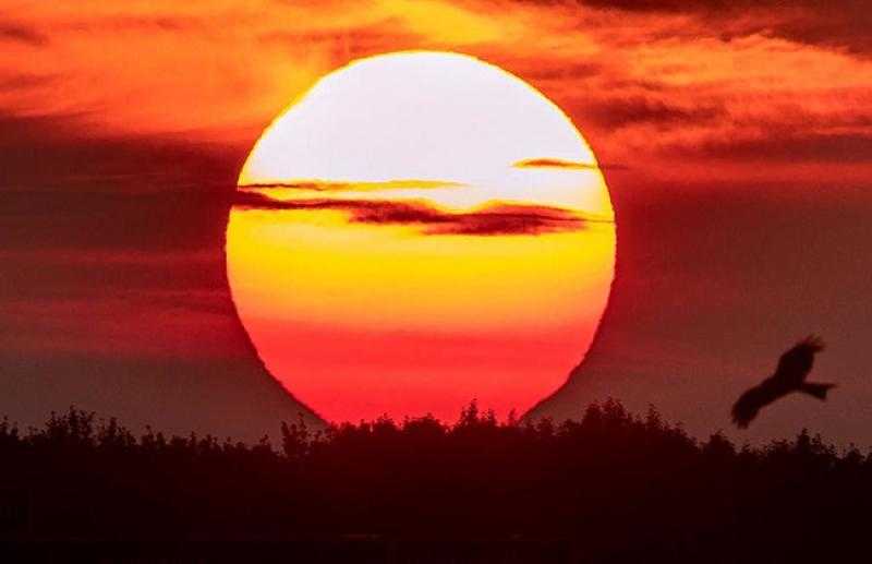 ظاهرة اصطفاف الكواكب.. تأملات في عظيم خلق الله ﴿وَإِذَا الْكَوَاكِبُ انْتَثَرَتْ﴾