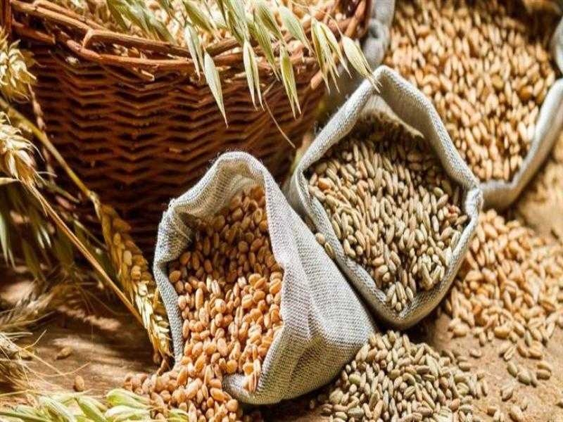التموين توضح المدة المناسبة لتخزين الحبوب وحفظها «فيديو»