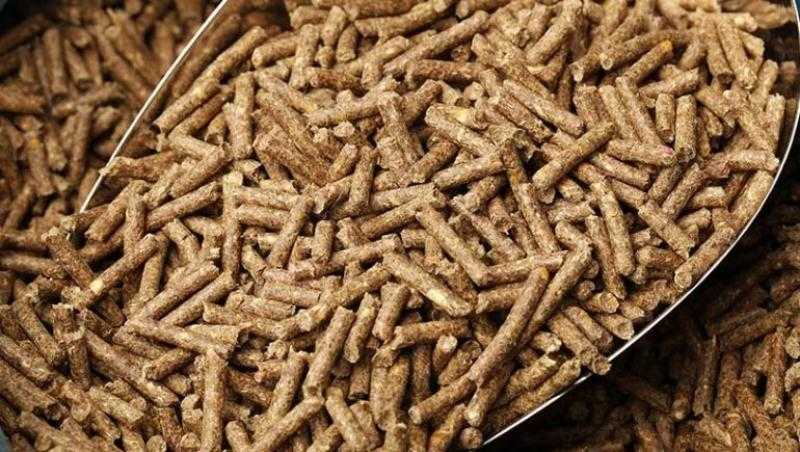 ضبط 8 طن أعلاف حيوانية في السوق السوداء بالمنوفية