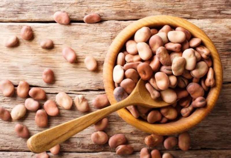 سعر الفول عند التاجر