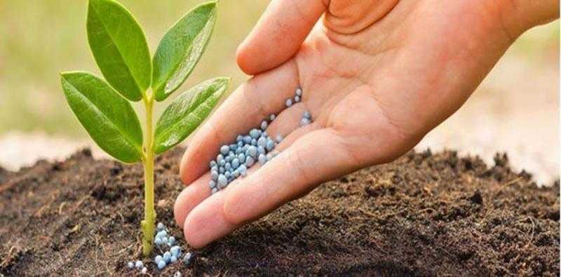 أسعار الأسمدة محليًا وعالميًا اليوم الجمعة 24-6-2022