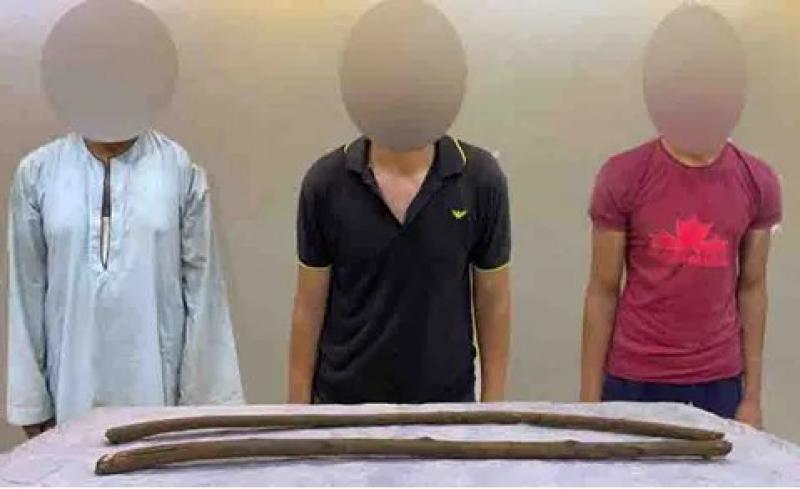 كشف غموض مقتل مزارع في المنيا