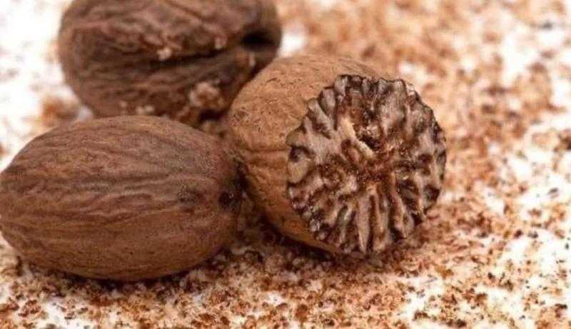 صيدلانية تكشف مفاجأة عن نبتة جوزة الطيب: «لا يختلف عن الحشيش»