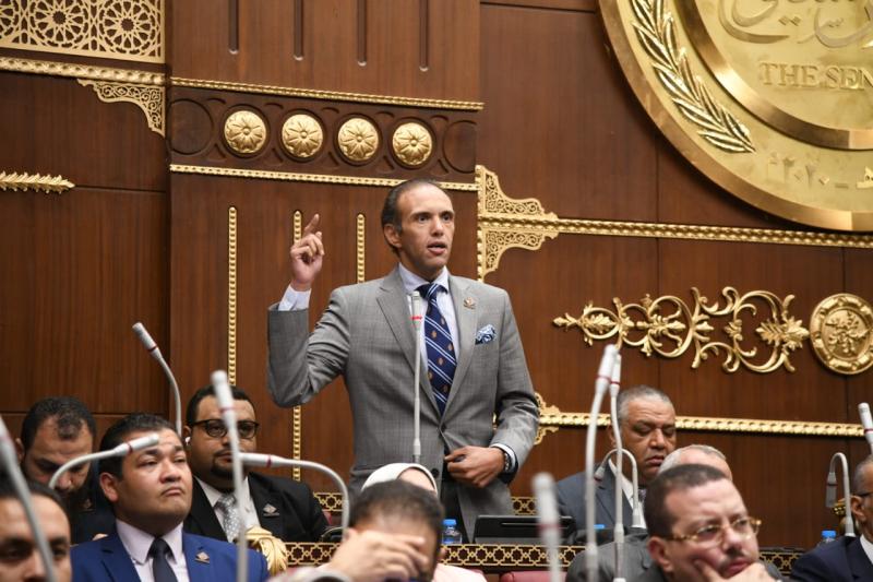 النائب محمد فريد