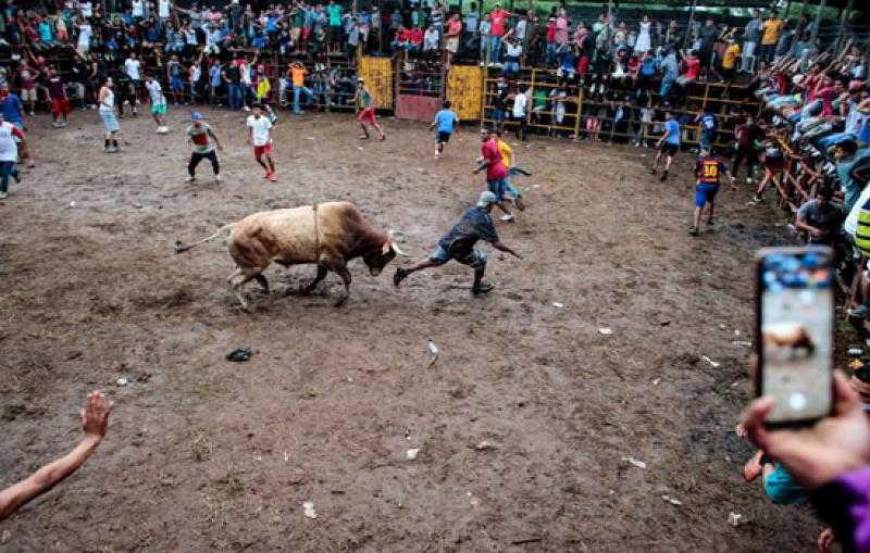 كولومبيا في طريقها لحظر مصارعة الثيران.. ما السبب؟