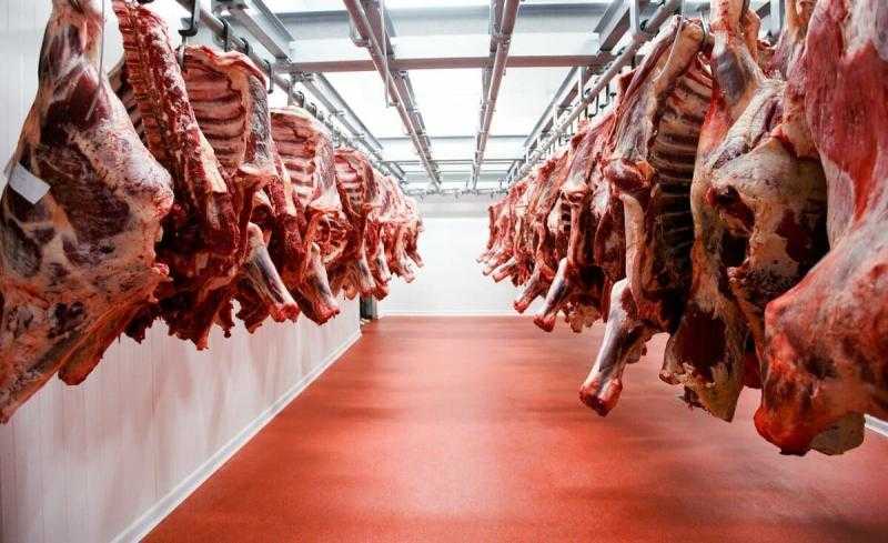 المصرية للحوم و للدواجن: توريد 800 طن للأوقاف و500 للأضاحي