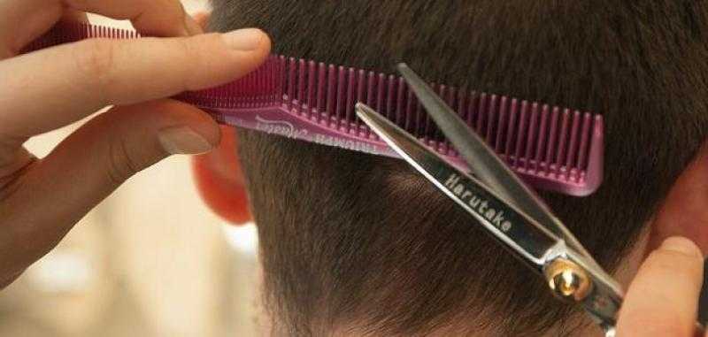 هل يحرم على المضحي الأخذ من شعره وأظفاره؟.. «الإفتاء» تُجيب
