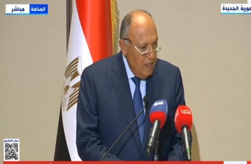 شكري: «السيسي والعاهل الأردني تناولا كل الأمور بشفافية وإخلاص»