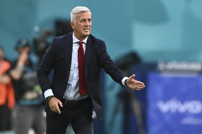 بيتكوفيتش يعتذر عن تدريب منتخب مصر.. وميدو يكشف السبب