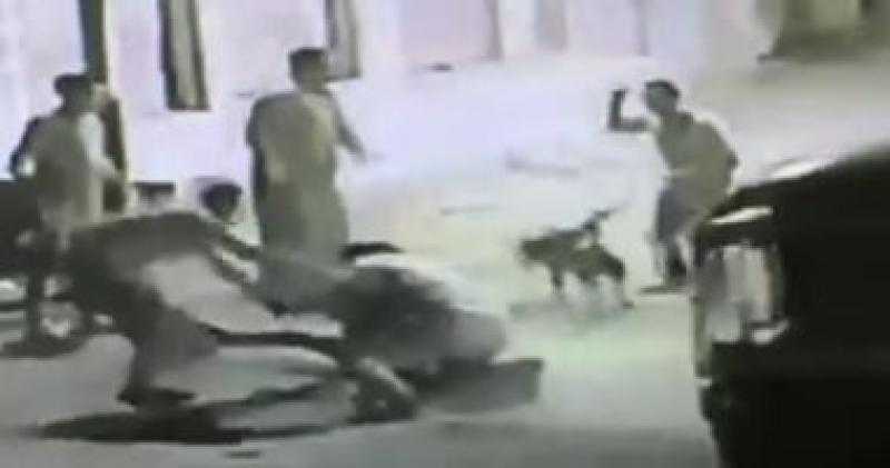 الداخلية تضبط المتهم بالتعدي على كلب ضال في الإسكندرية