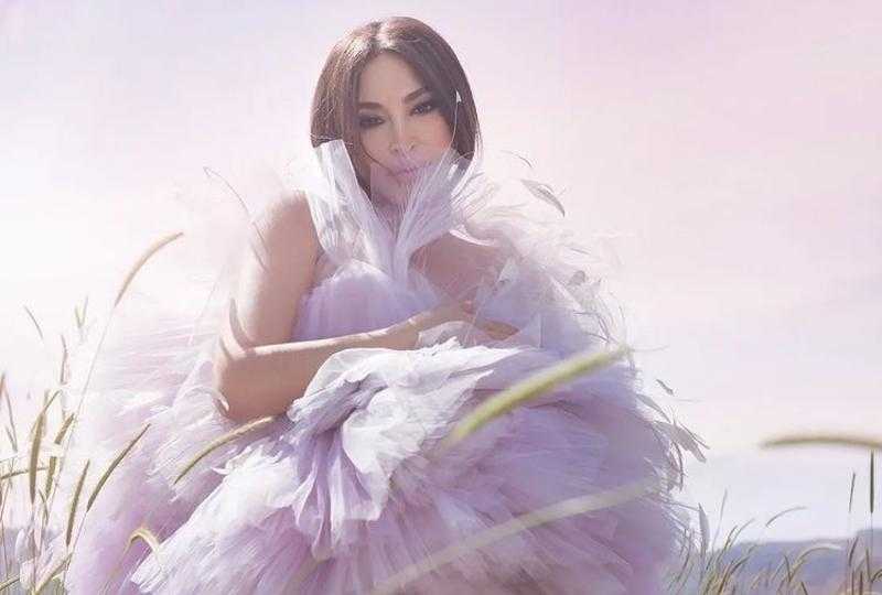 بإطلالة ساحرة.. إليسا تتألق في أحدث جلسة تصوير