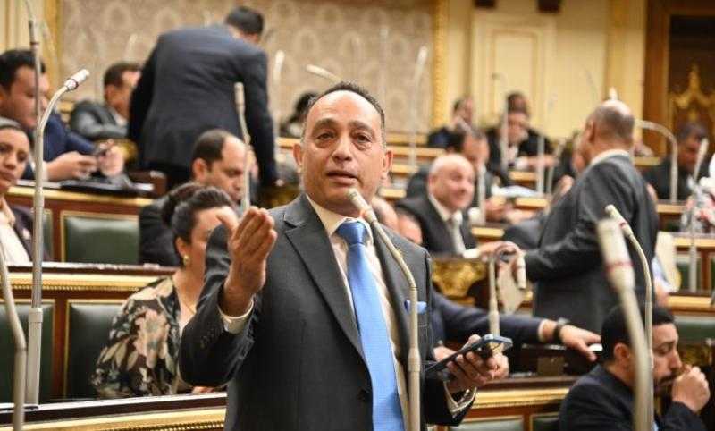 برلماني: ثورة 30 يونيو أكدت للعالم أن الشعب المصرى لا يُقهر
