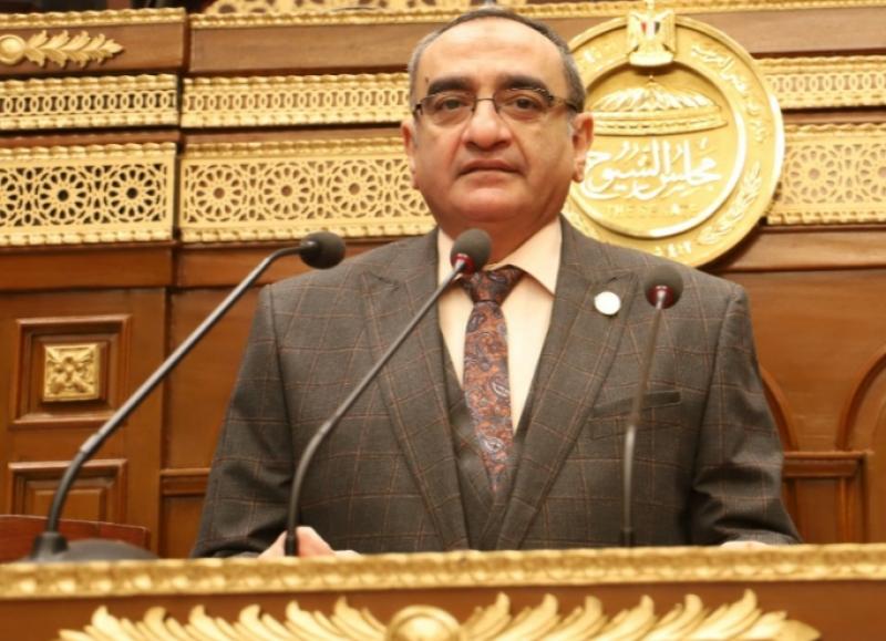 النائب حاتم حشمت