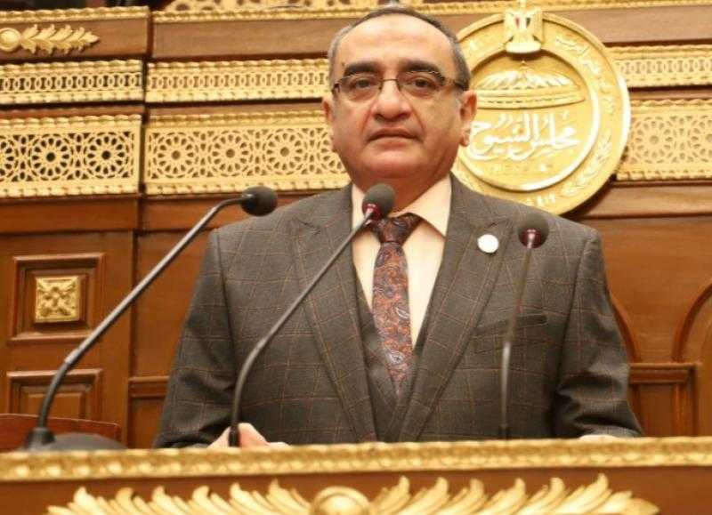 النائب حاتم حشمت: ثورة 30 يونيو أفشلت مؤامرات الجماعات الإرهابية