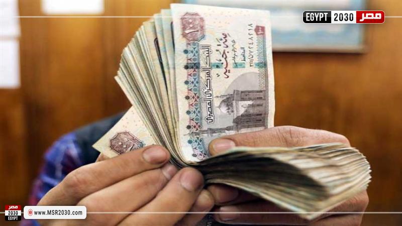 قروض البنوك 